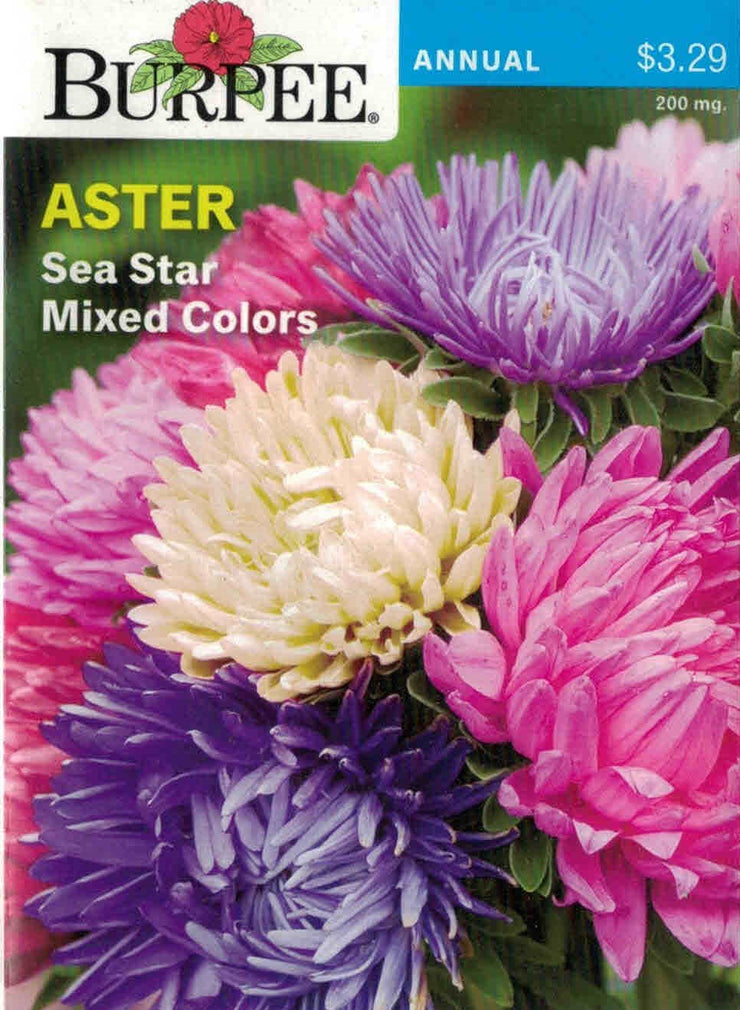 ASTER-Sea Star Mixed Colors