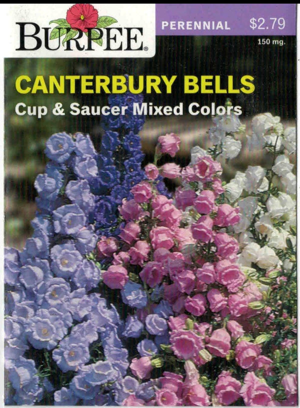 CANTERBURY BELLS- Cup & Saucer Mixed Colors