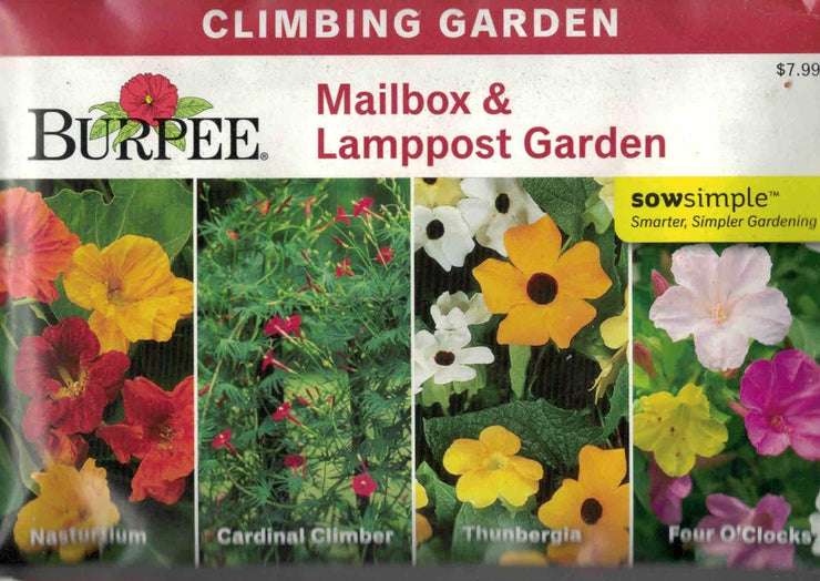 CLIMBING GARDEN- Mailbox & Lamppost Garden