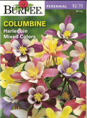 COLUMBINE- Harlequin Mixed Colors