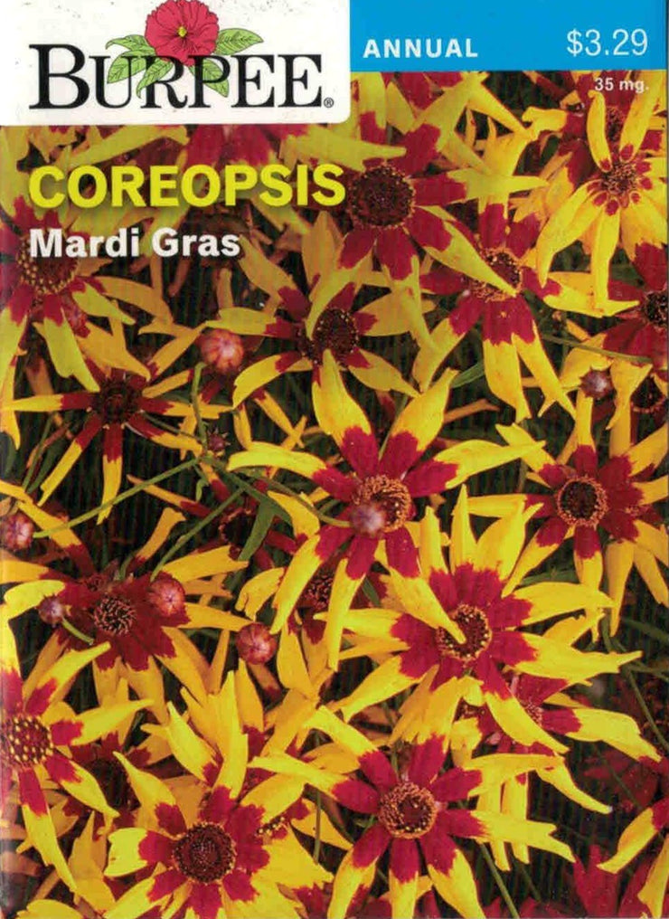 COREOPSIS-Mardi Gras