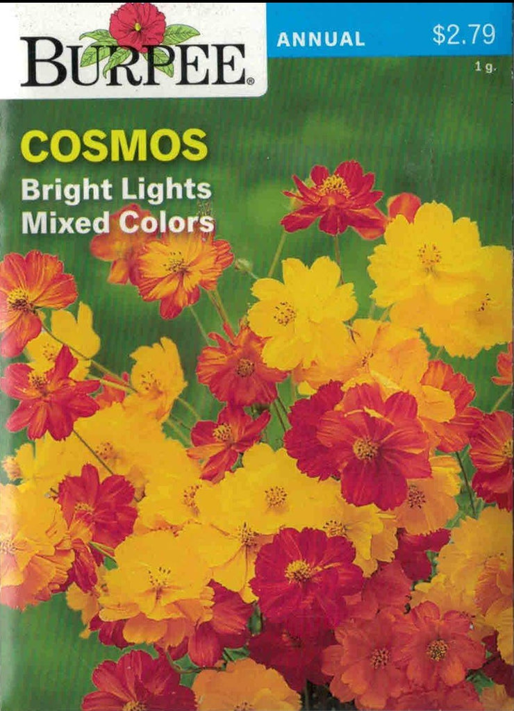 COSMOS- Bright Lights Mixed Colors