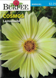 COSMOS- Lemonade