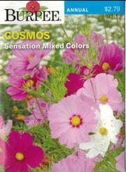 COSMOS- Sensation Mixed Colors