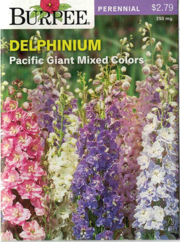DELPHINIUM- Pacific Giant Mixed Colors