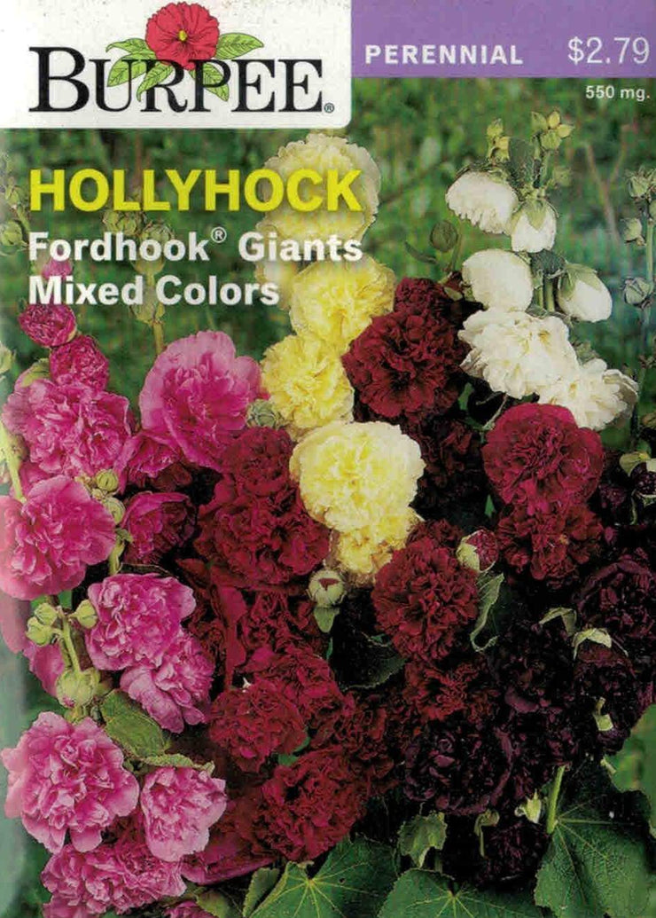HOLLYHOCK- Fordhook Giants Mixed Colors
