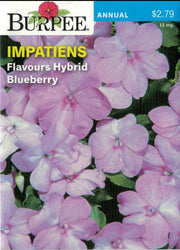 IMPATIENS- Flavours Hybrid Blueberry