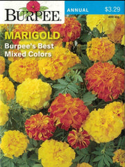 MARIGOLD- Burpee's Best Mixed Colors