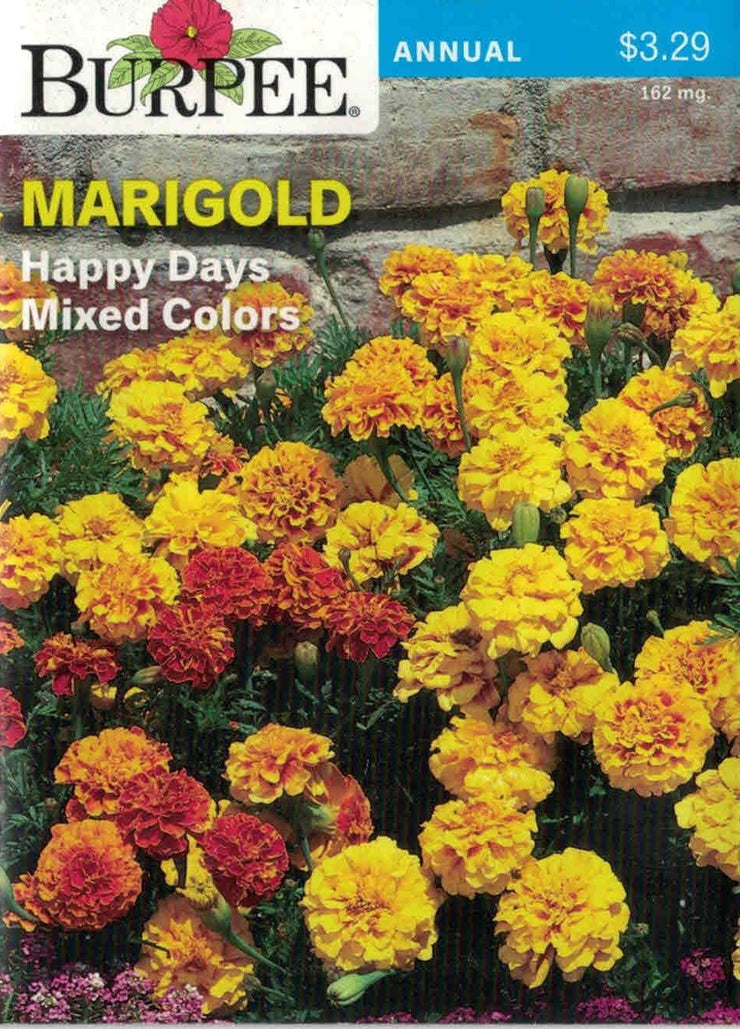 MARIGOLD- Happy Days Mixed Colors