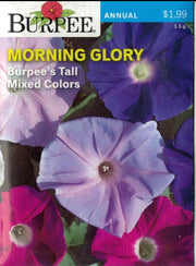 MORNING GLORY- Burpee's Tall Mixed Colors