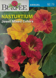 NASTURTIUM- Jewel Mixed Colors