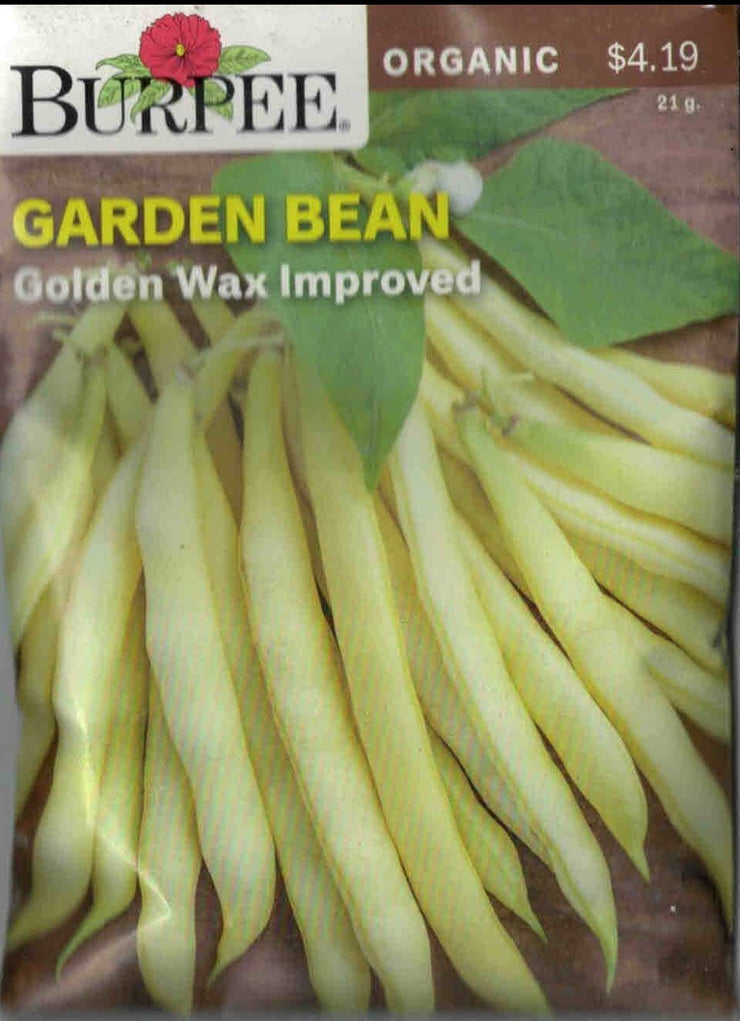 ORGANIC GARDEN BEAN- Golden Wax Improved