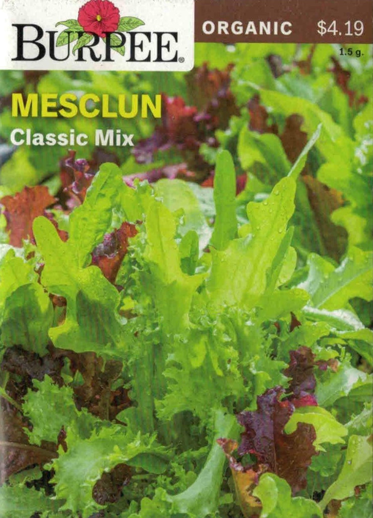 ORGANIC MESCLUN- Classic Mix