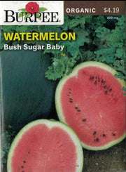 ORGANIC WATERMELON- Bush Sugar Baby