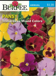 PANSY- Trimardeau Mixed Colors
