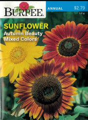 SUNFLOWER- Autumn Beauty Mixed Colors