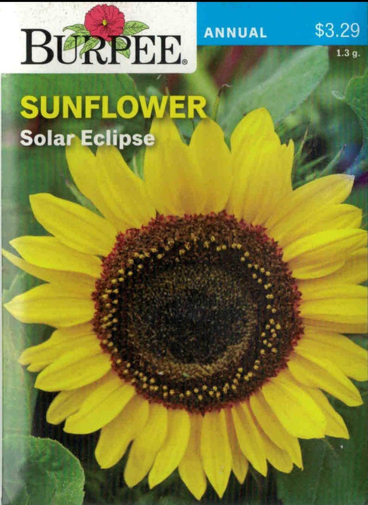 SUNFLOWER- Solar Eclipse