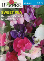 SWEET PEA- Burpee's Galaxy Mixed Colors
