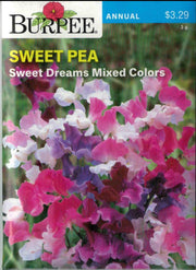 SWEET PEA- Sweet Dreams Mixed Colors