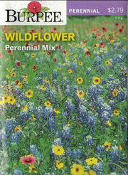 WILDFLOWER- Perennial Mix