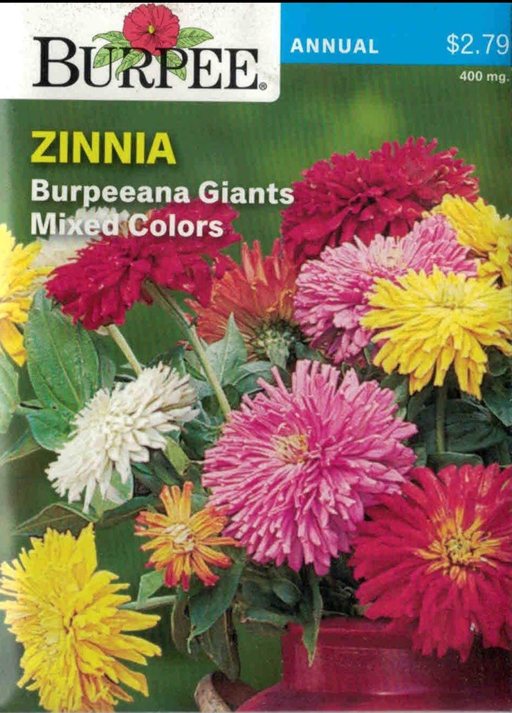 ZINNIA- Burpeeana Giants Mixed Colors