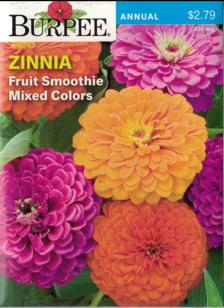 ZINNIA- Fruit Smoothie Mixed Colors