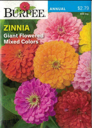 ZINNIA- Giant Flowered Mixed Colors