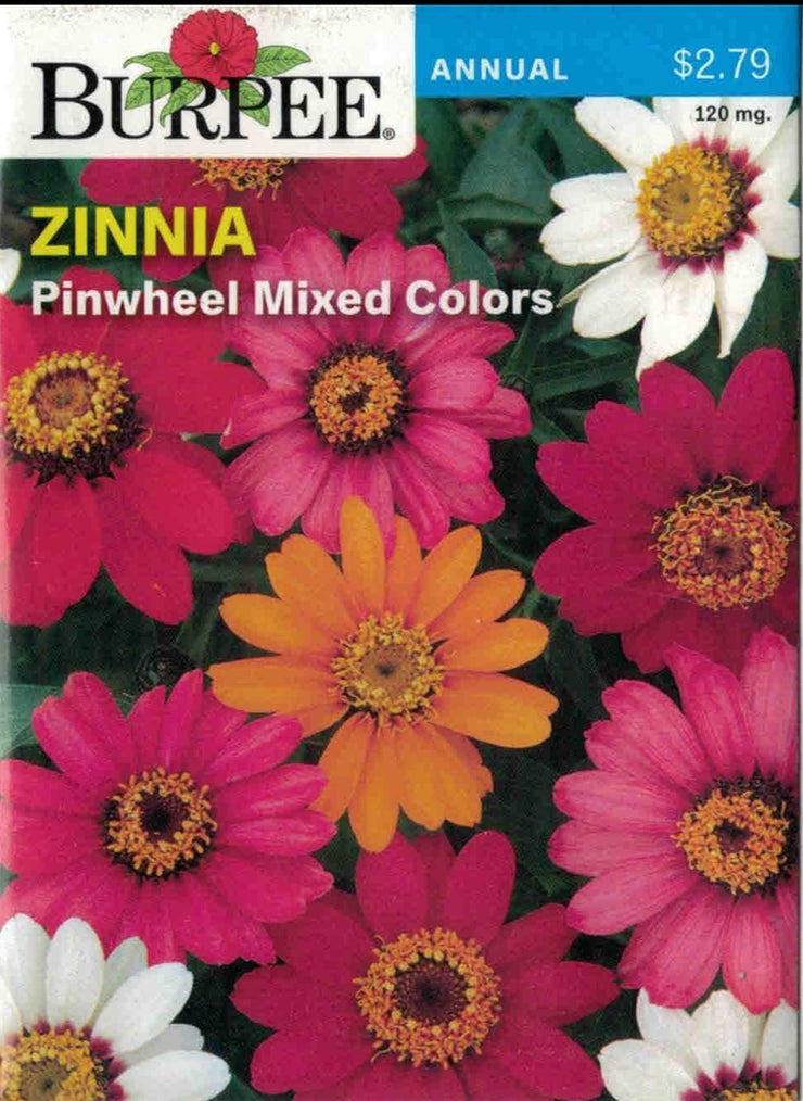 ZINNIA- Pinwheel Mixed Colors